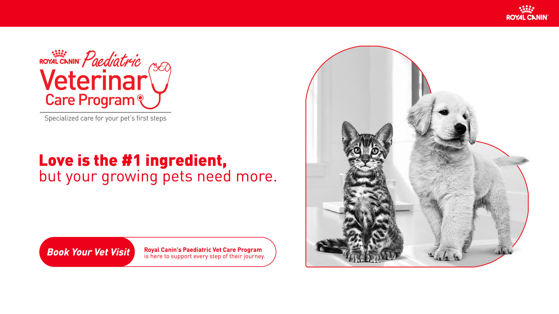 Royal Canin Paediatric Veterinary Care Program - Book Your Vet Visit